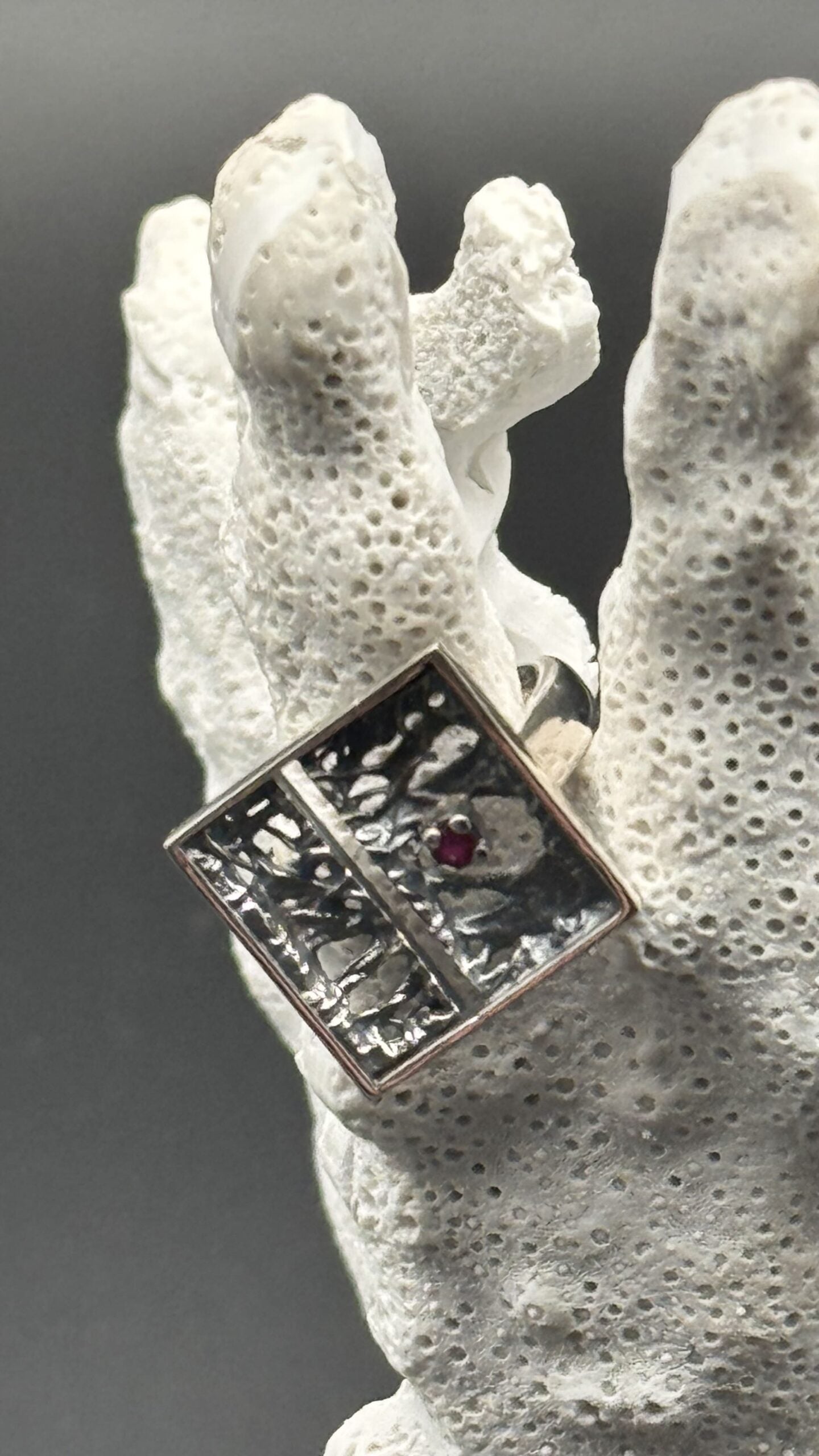 Anillos y broches