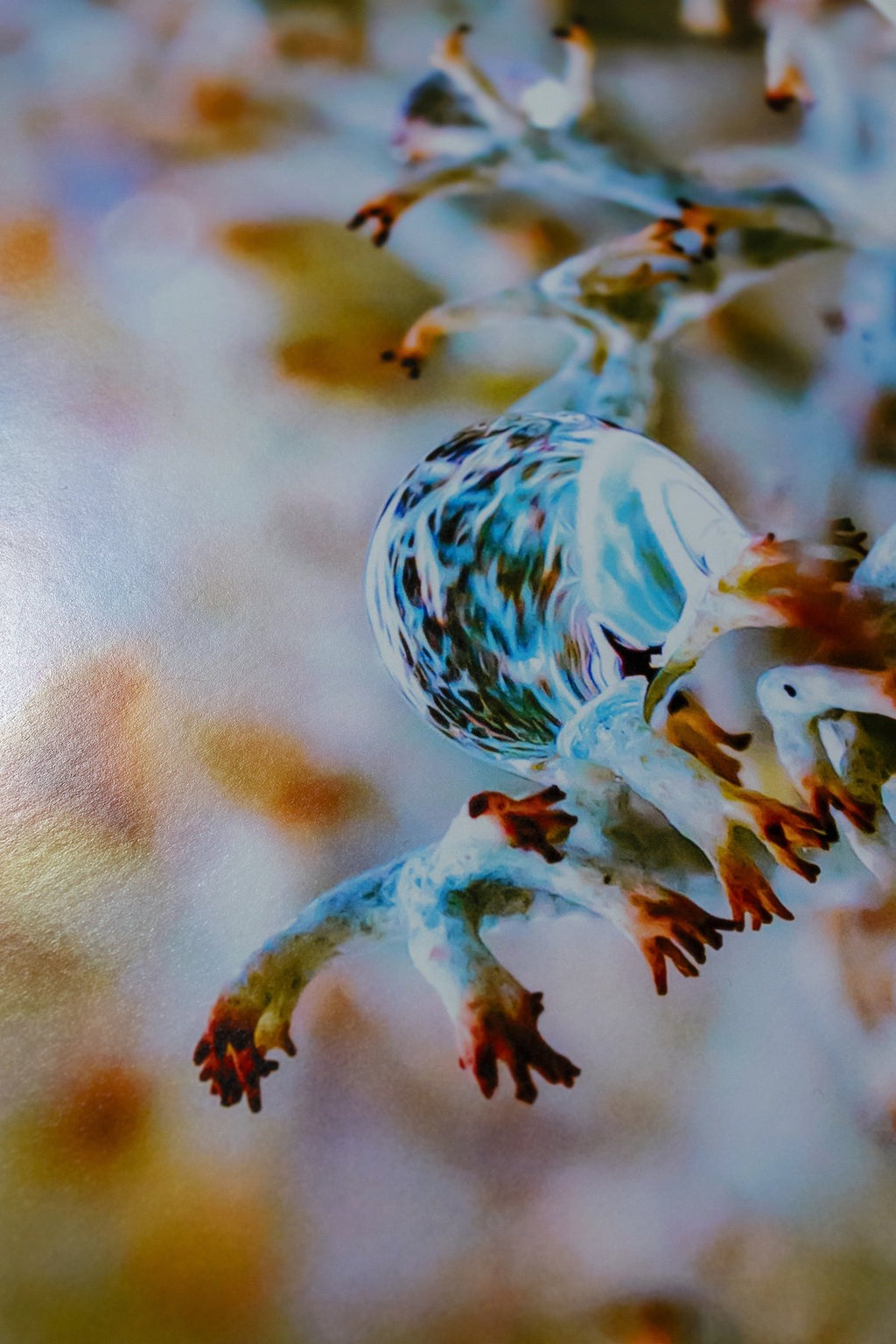 "Spaceship" por Inna Etuvgi