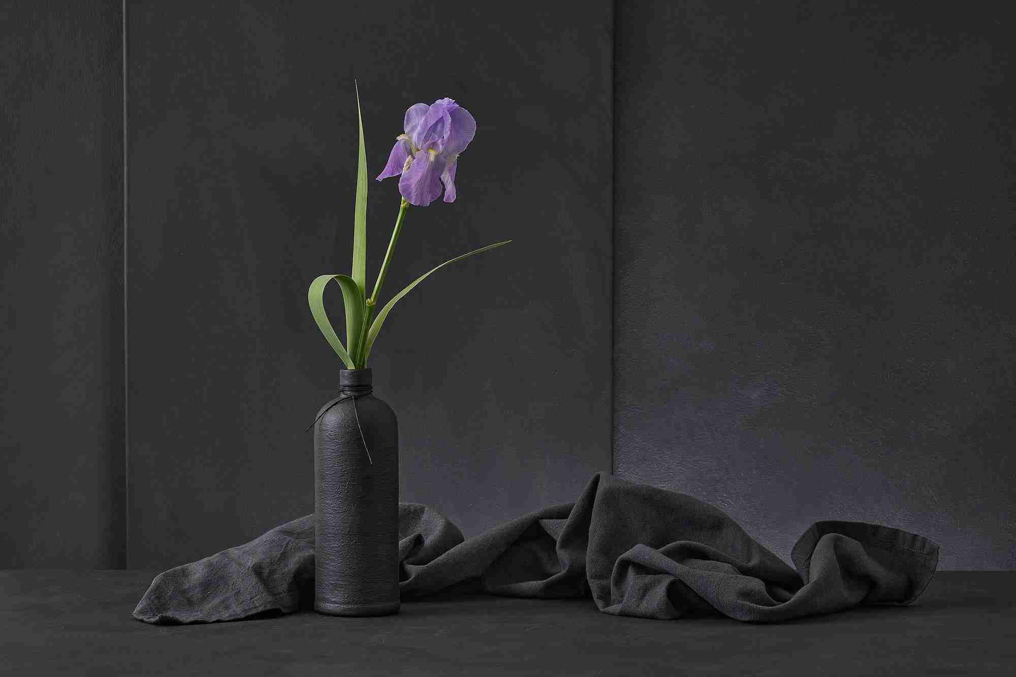 "Iris Pallida" por Christophe Verot