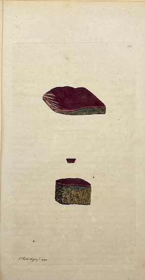 Grabados Botánicos de 1814: Obras de James Sowerby enmarcadas y autentificadas