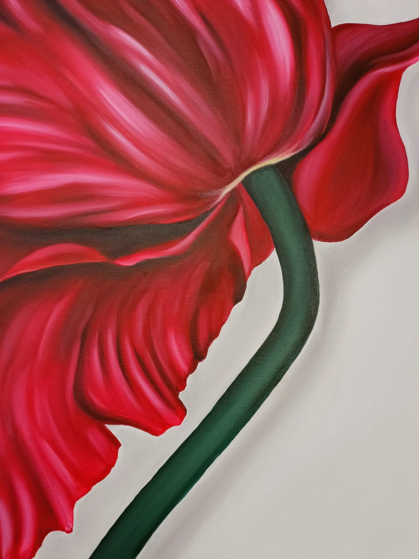 "Tulipán" de Enrica Ciffo