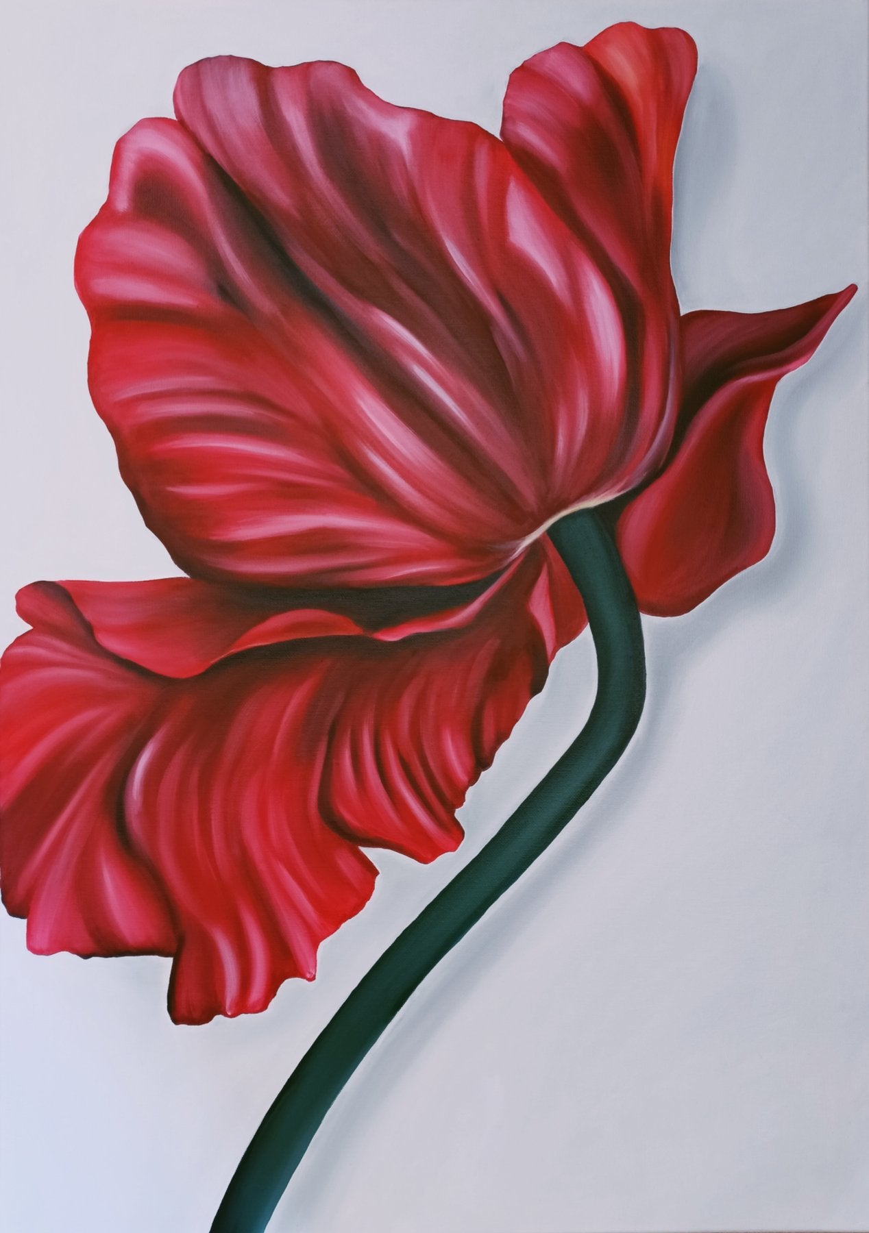 "Tulipán" de Enrica Ciffo