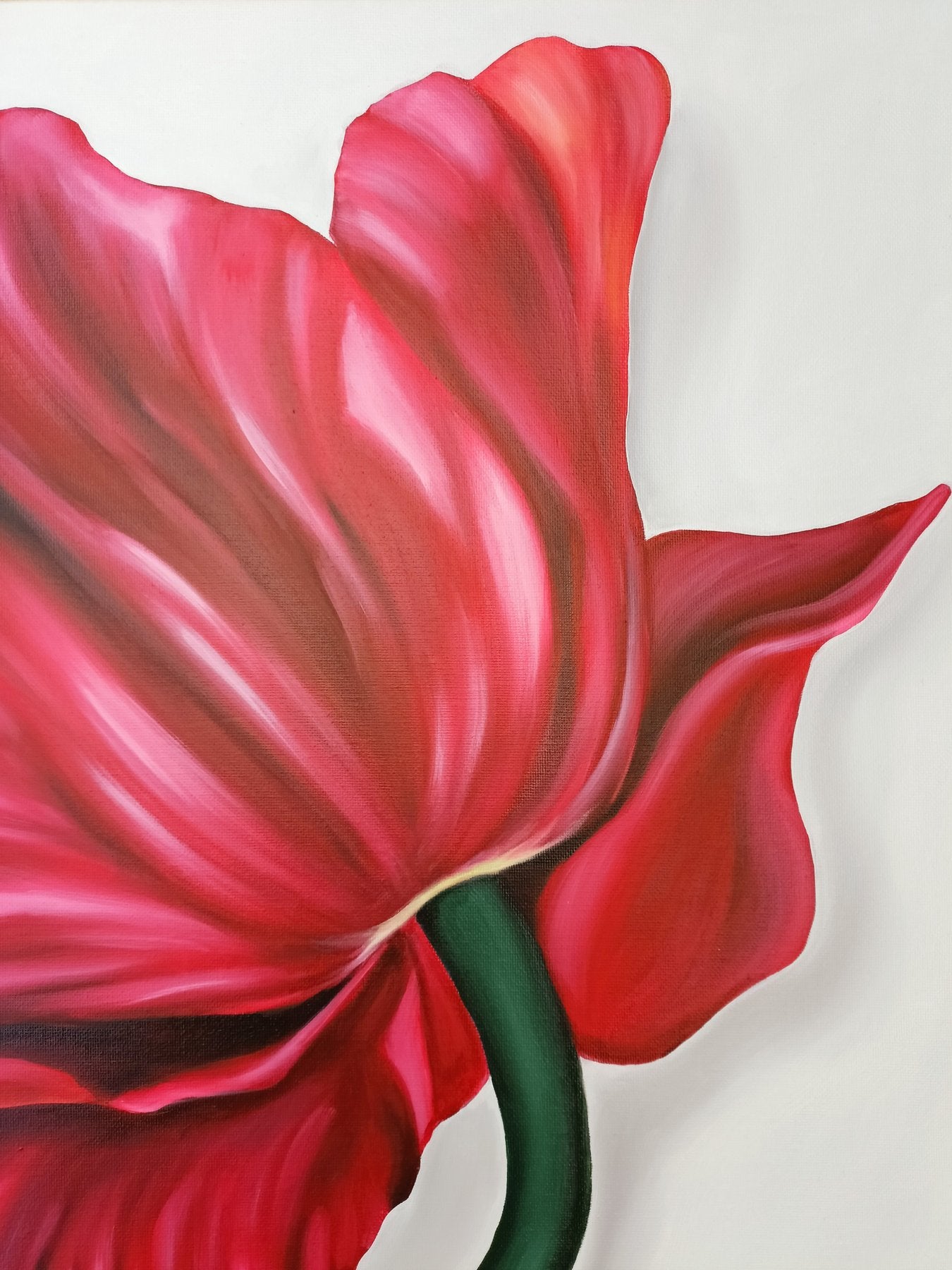 "Tulipán" de Enrica Ciffo