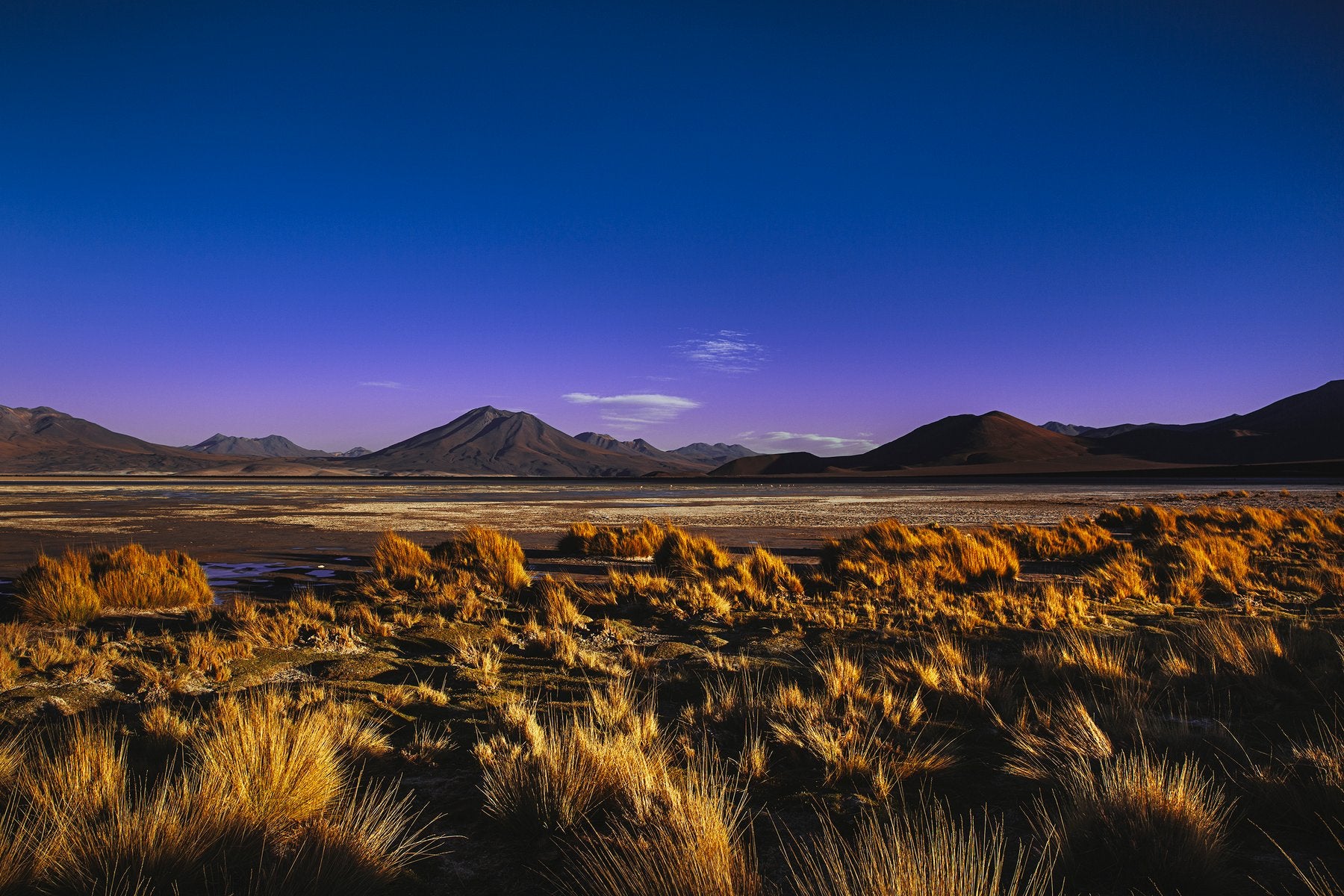"Patagonia" de Erminando Aliaj