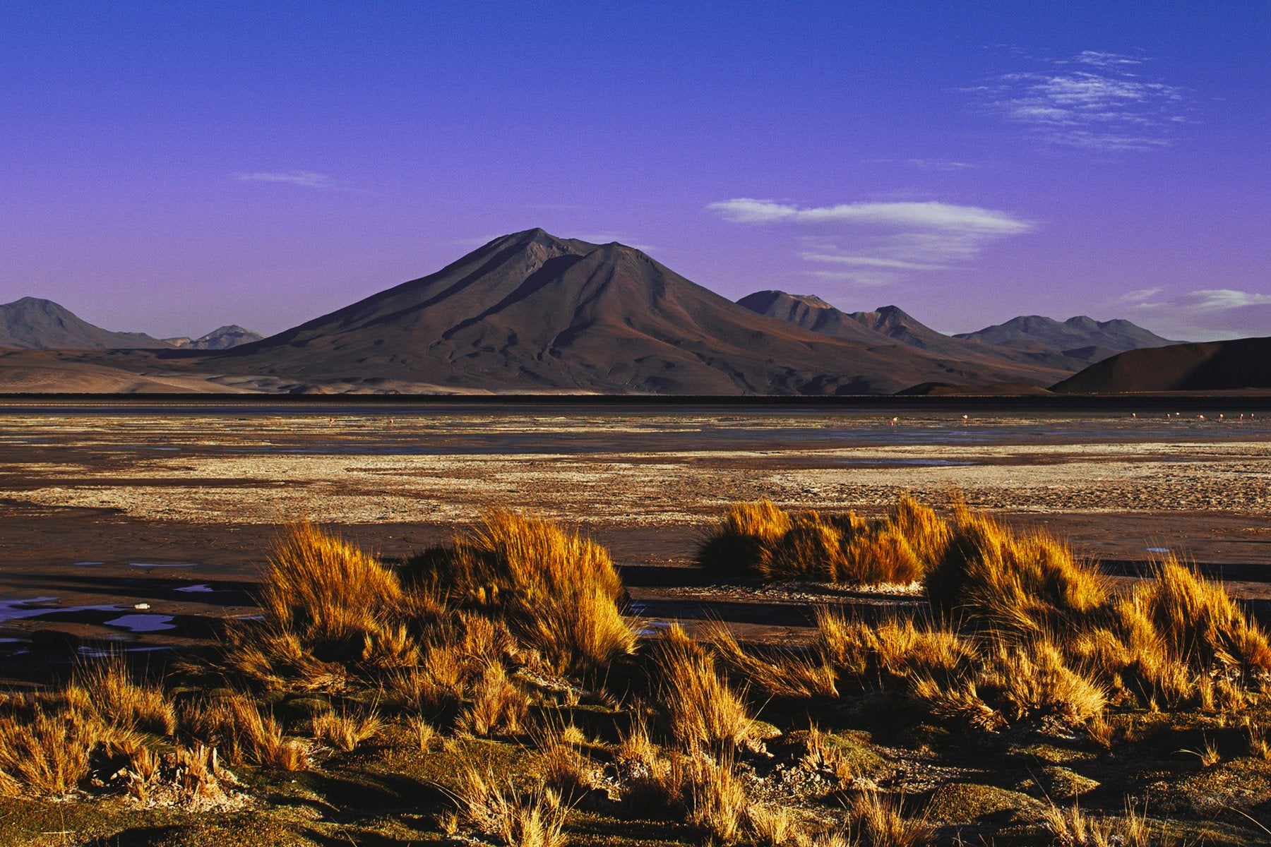 "Patagonia" de Erminando Aliaj