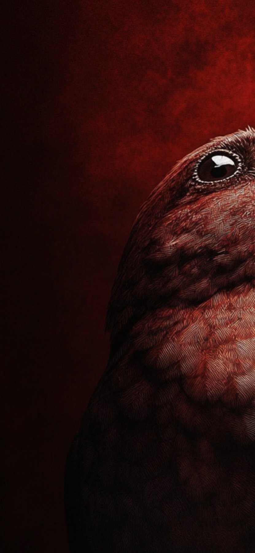 "#22 - Colorful Bird" de Eric Lespinasse