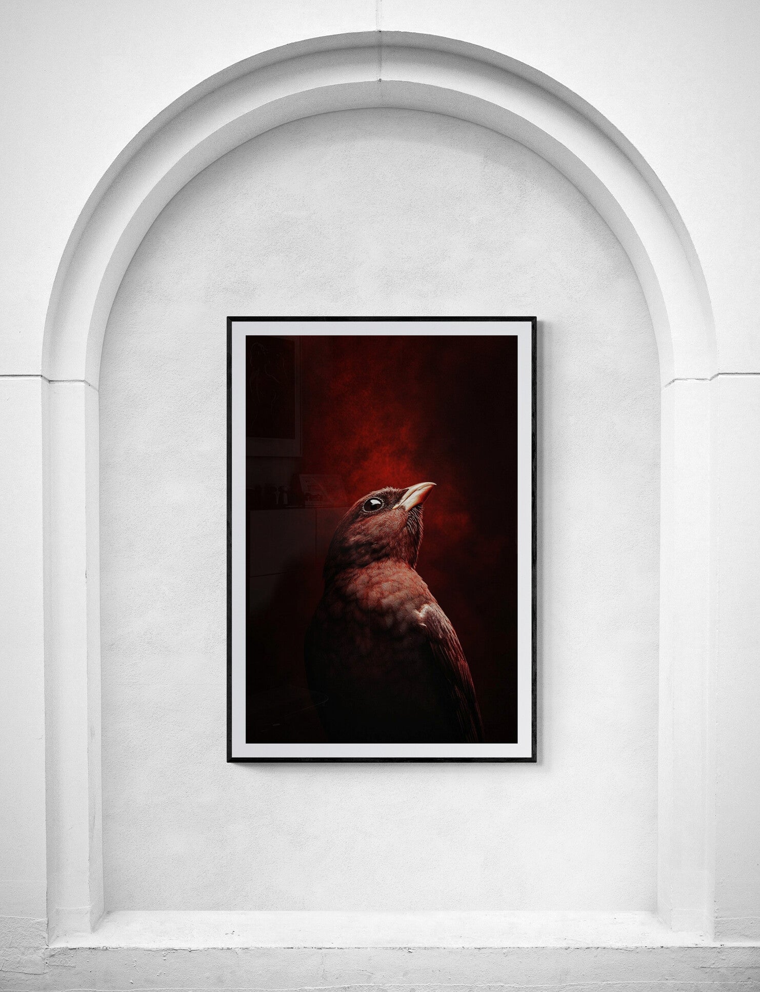 "#22 - Colorful Bird" de Eric Lespinasse
