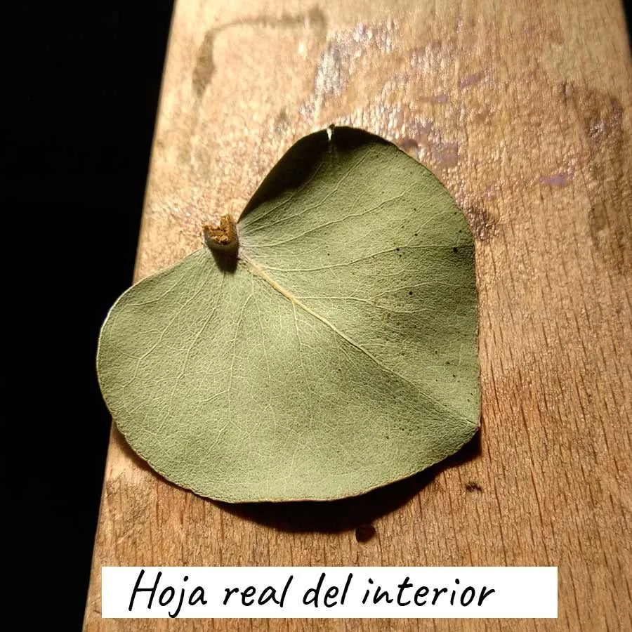 Pendientes de Cobre y Plata Hojas de Anna Canal