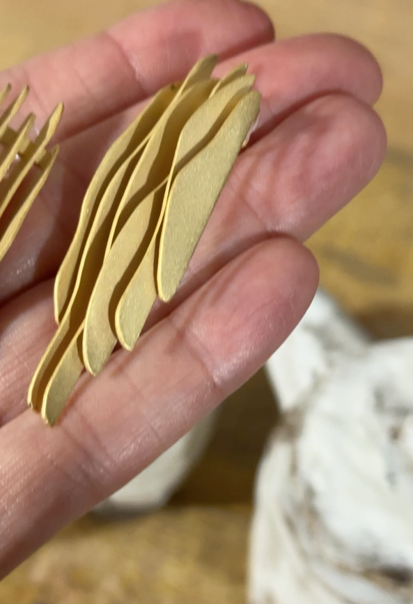 Pendientes Naroa en Oro 18K – Diseño Orgánico Artesanal Hecho en España