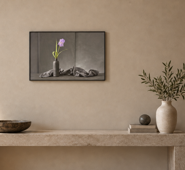 "Iris Pallida" by Christophe Verot