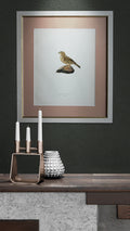 Original Lithographic Engraving of Swedish Birds (Emberiza Calandra) - 1920