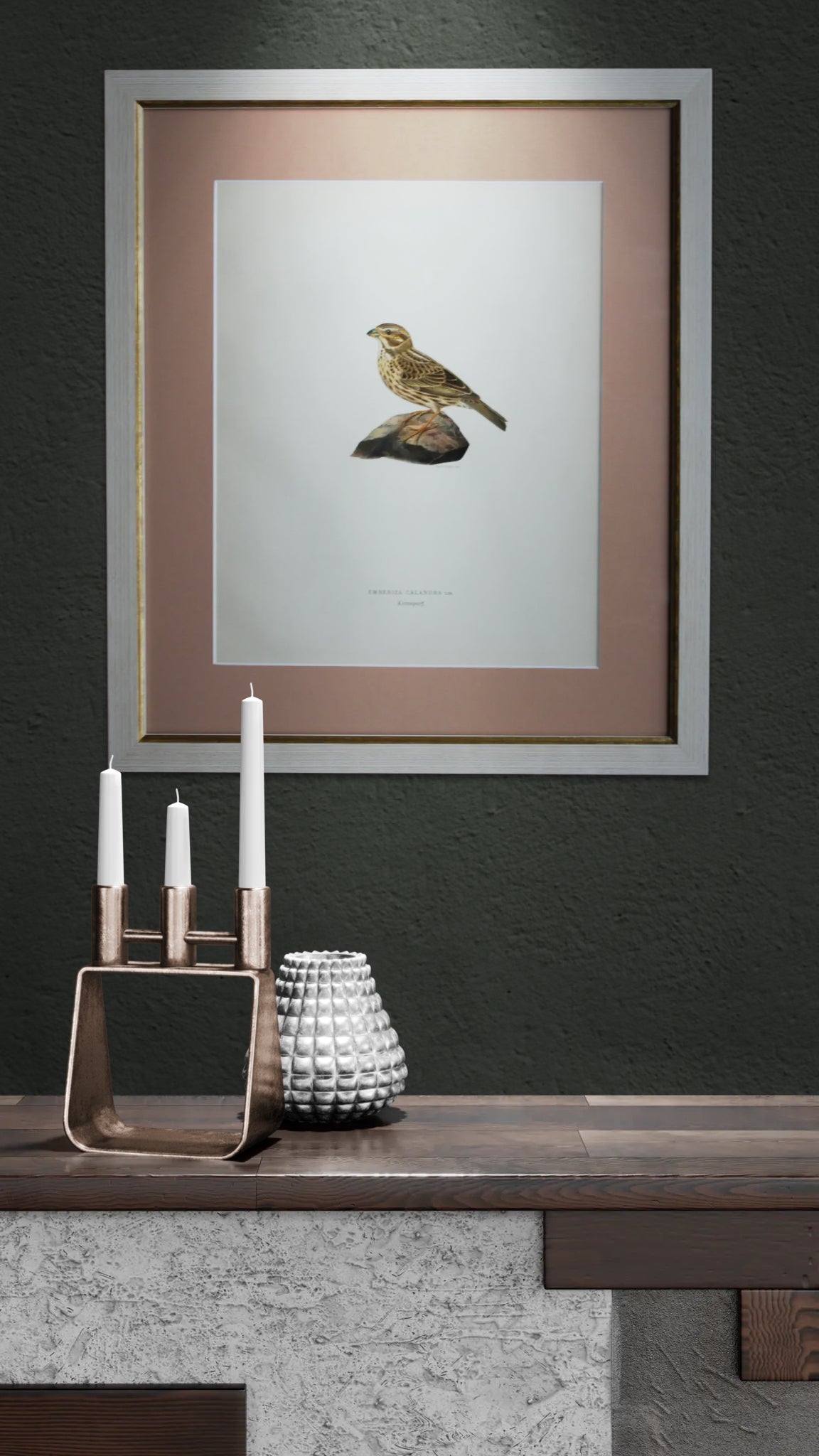 Grabado Litográfico Original de Aves Suecas (Emberiza Calandra) - 1920