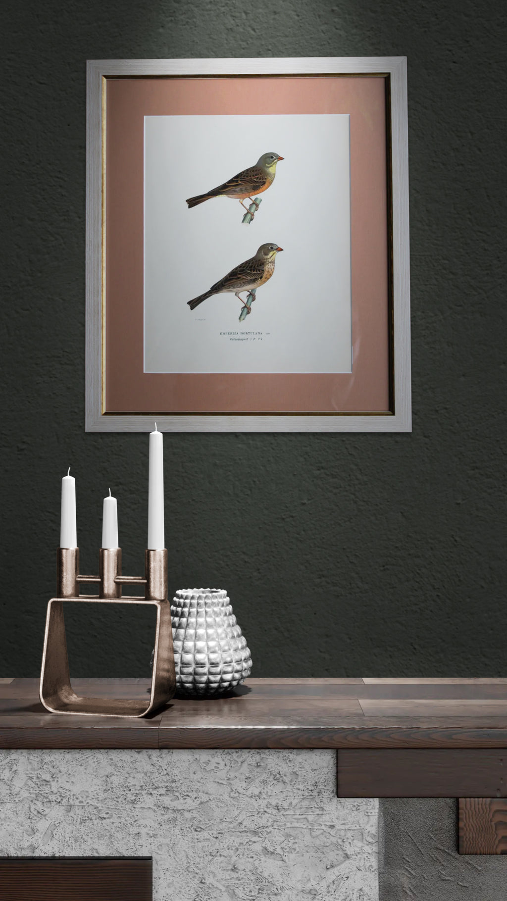 Grabado Litográfico Original de Aves Suecas (Emberiza Hortulana) - 1920