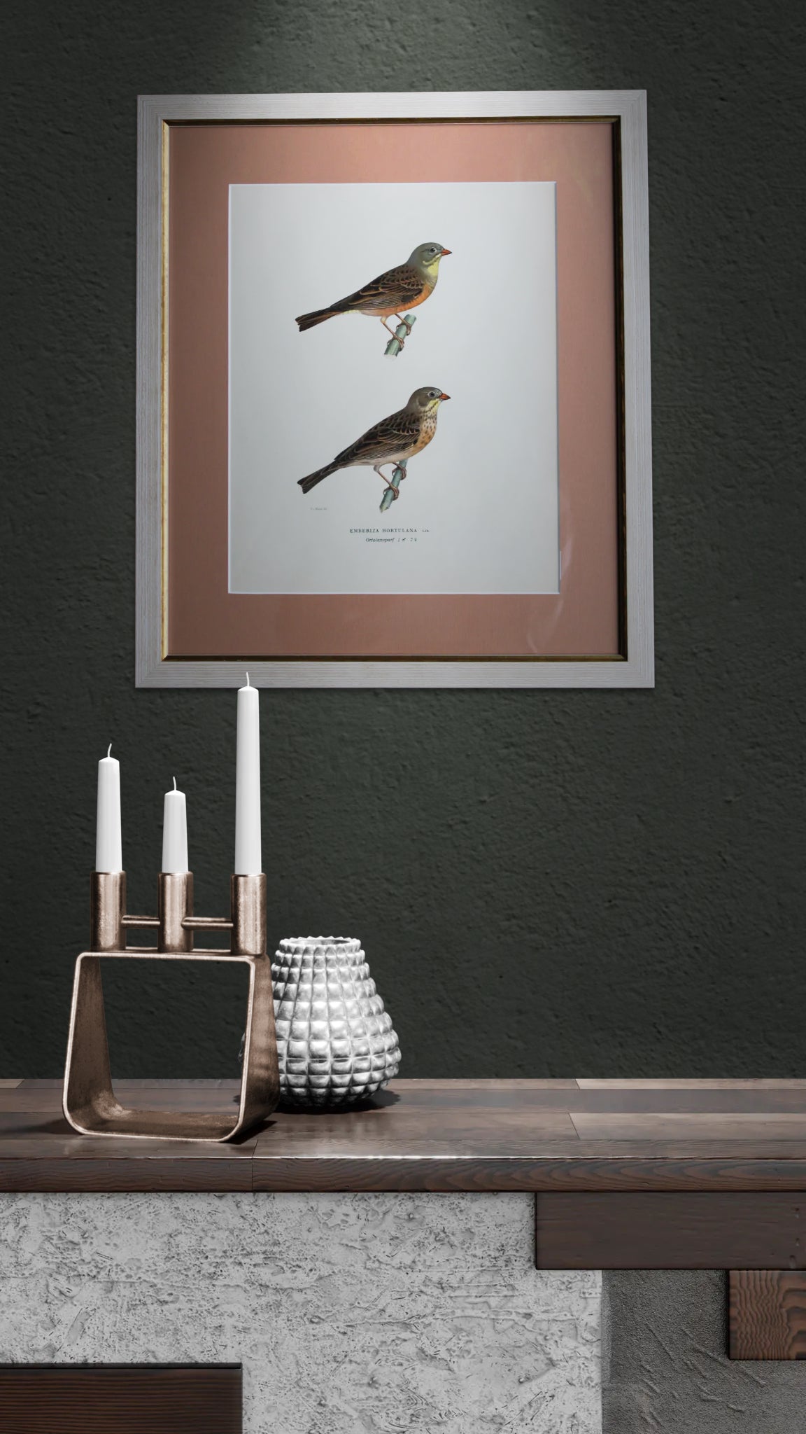 Grabado Litográfico Original de Aves Suecas (Emberiza Hortulana) - 1920