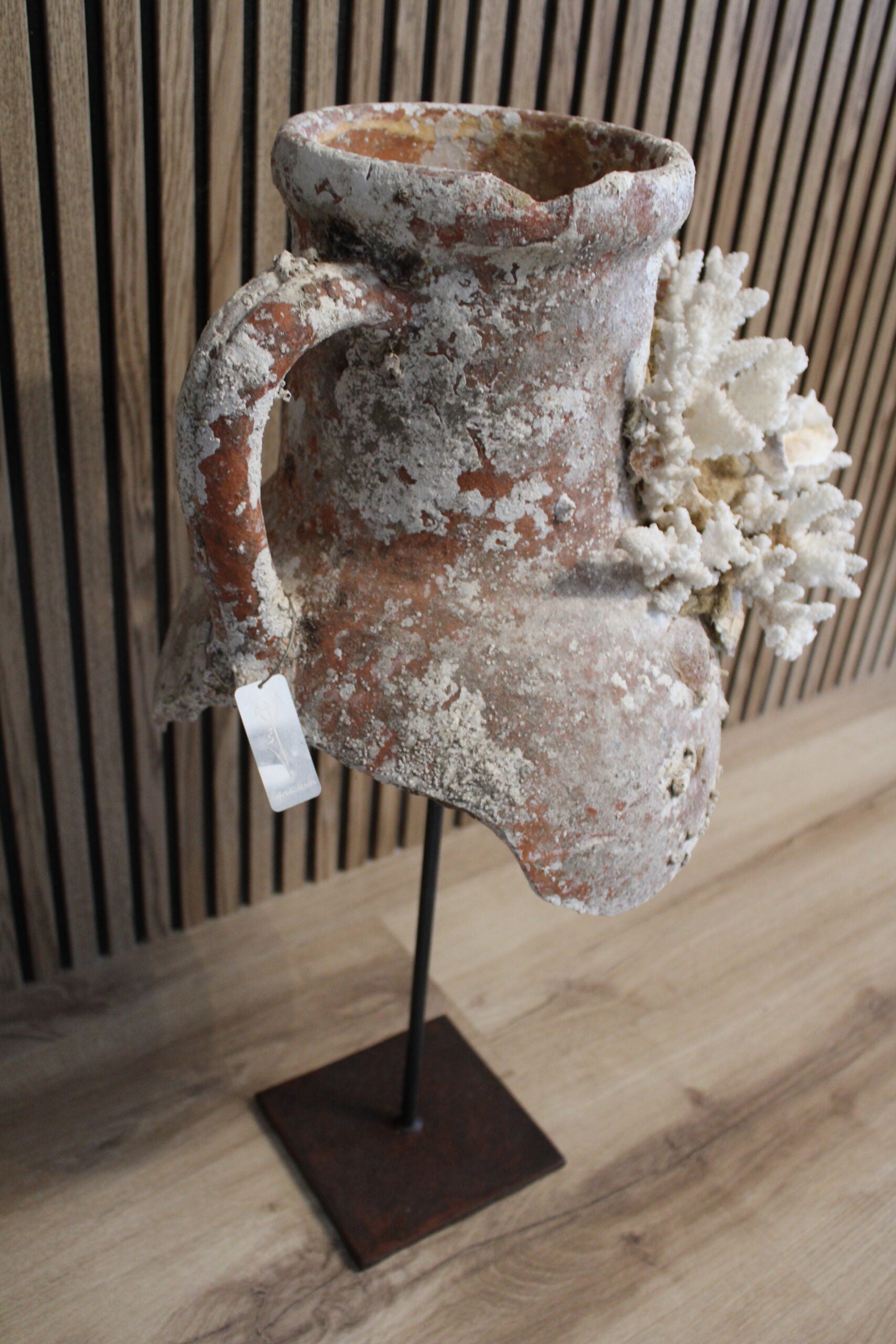 Trozo de Ánfora Etrusca Rota con Coral -Ánforas de Mar