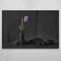 "Iris Pallida" por Christophe Verot