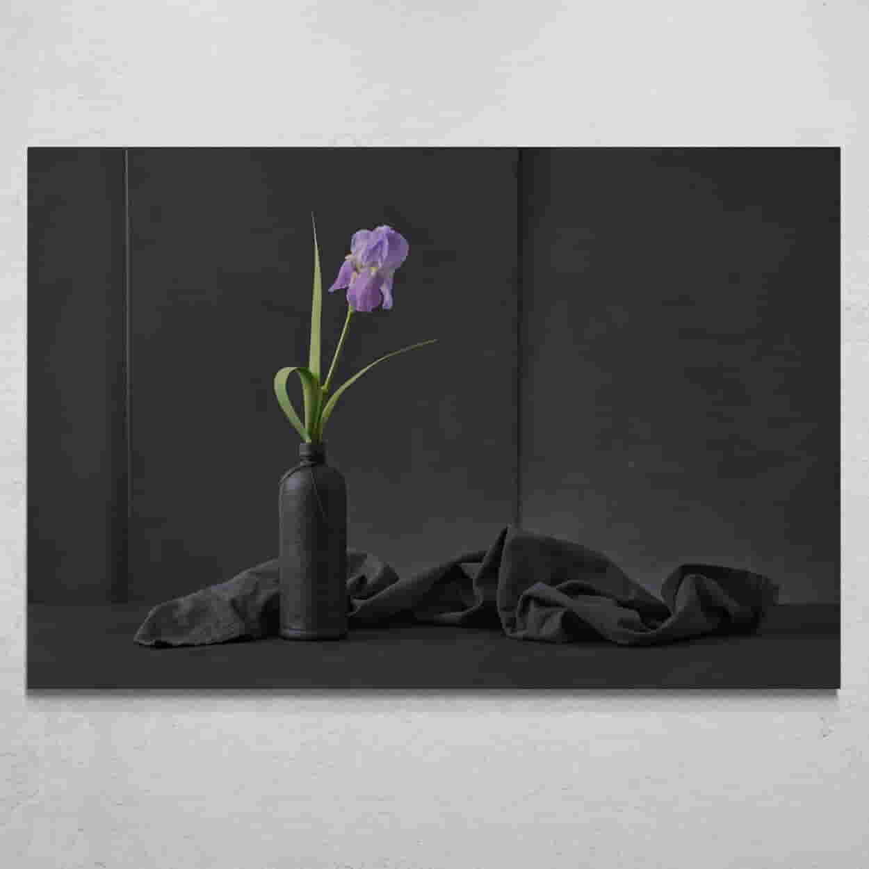 "Iris Pallida" por Christophe Verot
